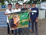 Lion Day-11